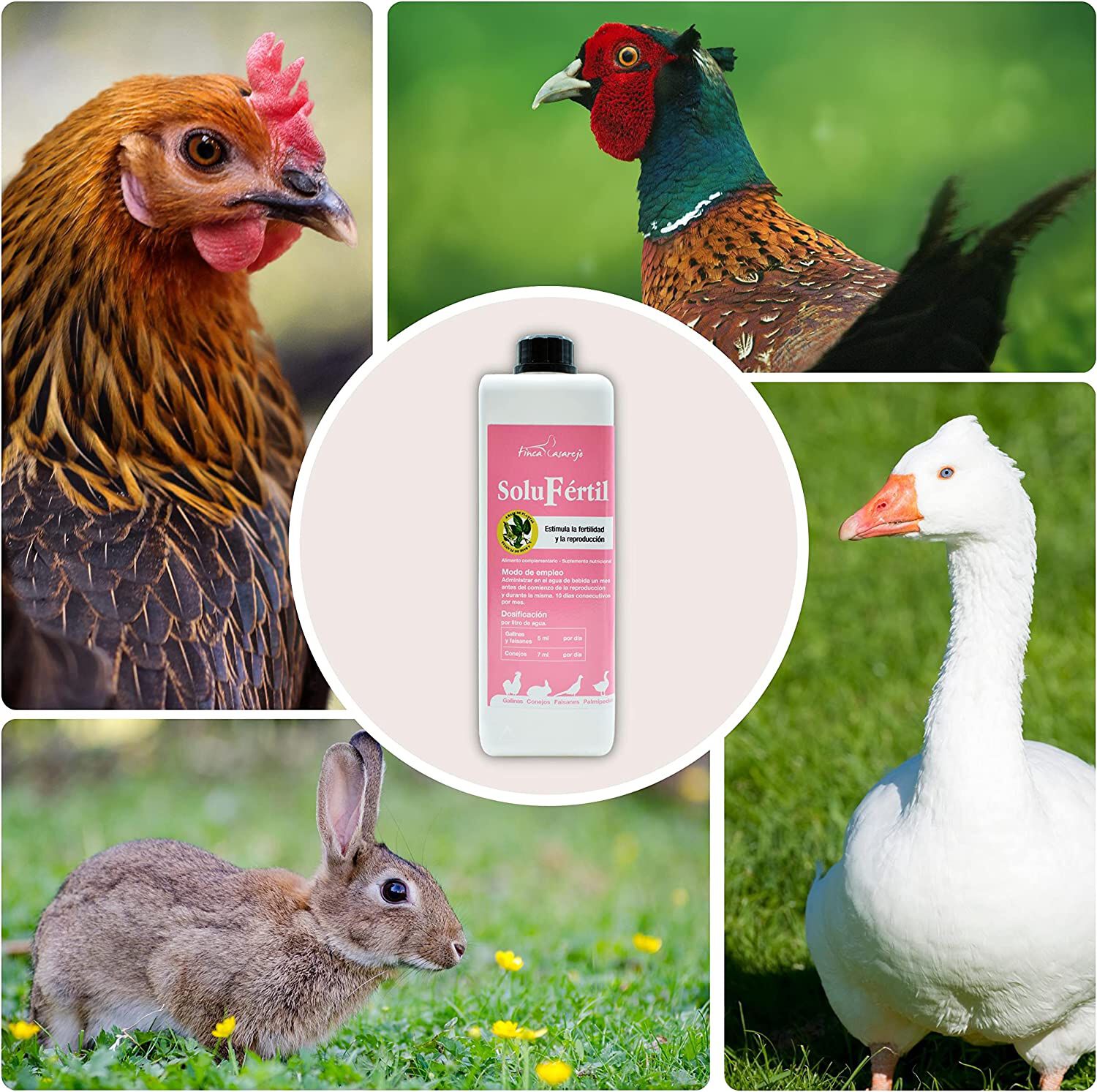 Finca casarejo soluf&eacute;rtil estimulaci&oacute;n de fertilidad natural para aves y conejos, , large Imagen numero 3